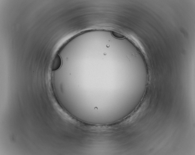 X0000113300952200909140943