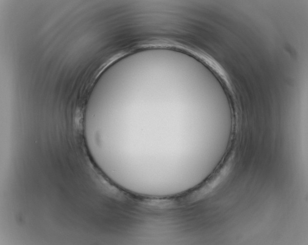 X0000113300953200909140943