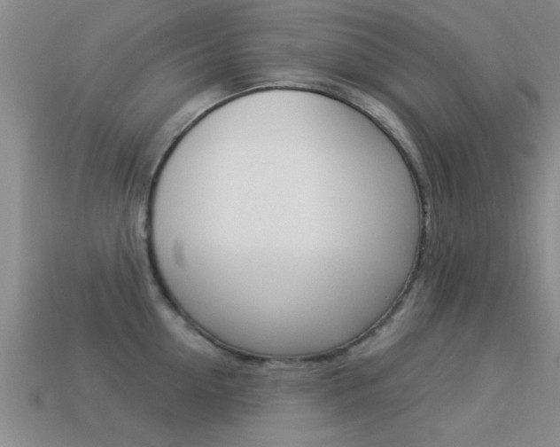 X0000113300954200909140943