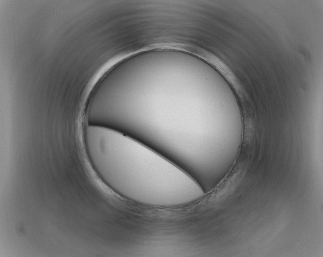 X0000113300955200909140943