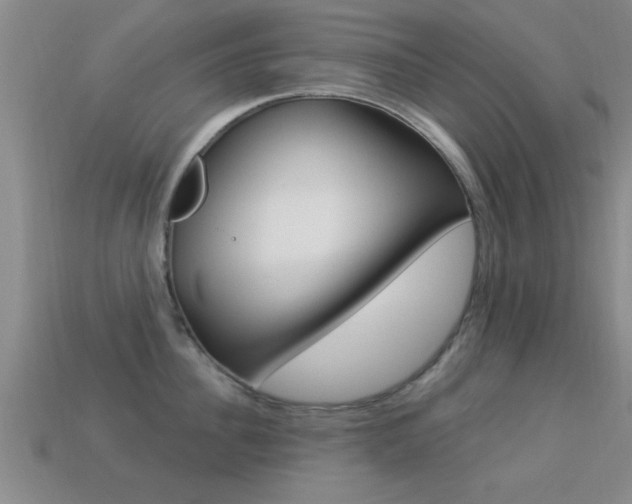 X0000113300956200909140943
