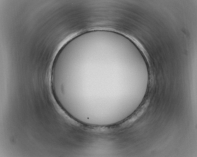 X0000113300957200909140943