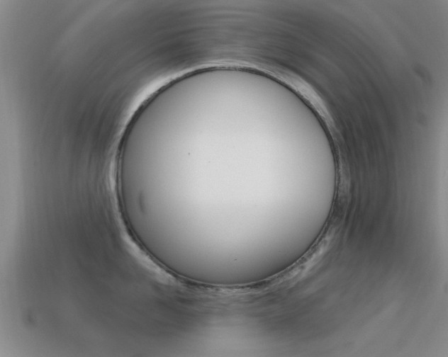 X0000113300958200909140943