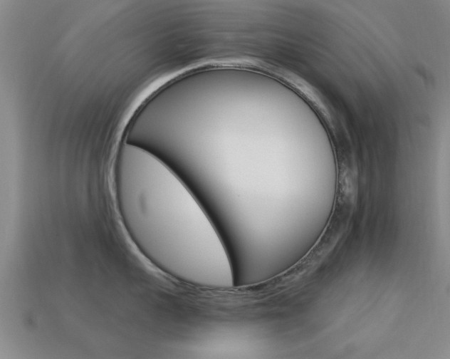 X0000113300959200909140943