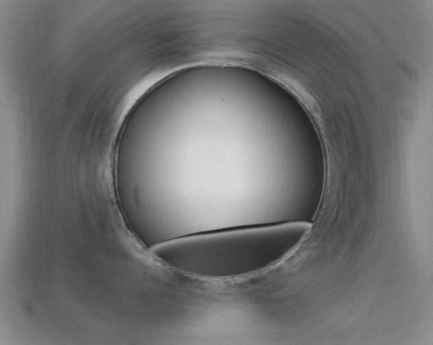 X0000113300960200909140943