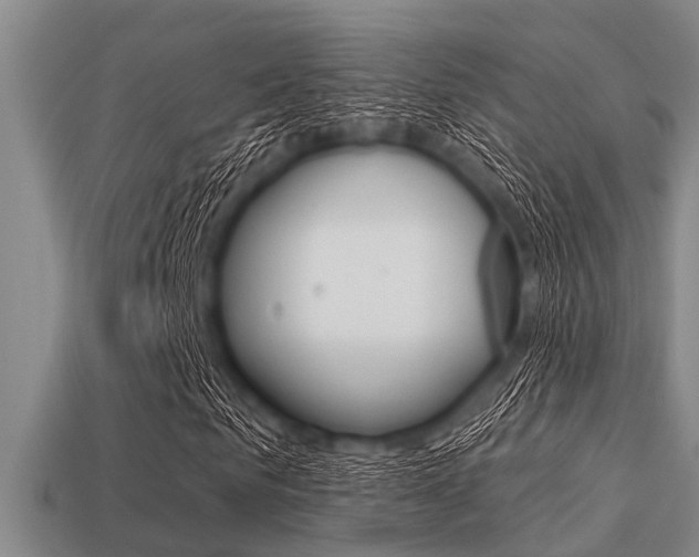X0000113300961200909140942