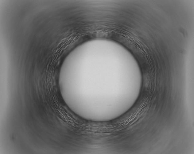 X0000113300962200909140942