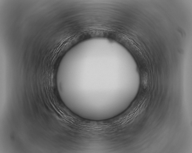 X0000113300964200909140942