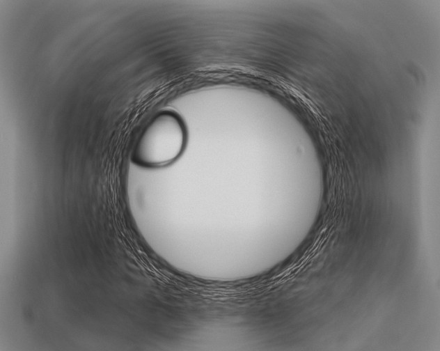 X0000113300965200909140942