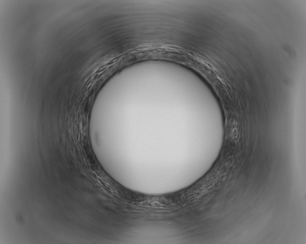 X0000113300966200909140942