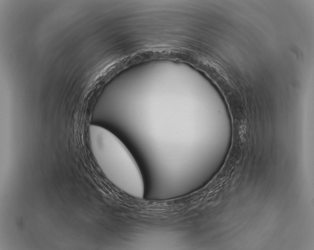 X0000113300968200909140942