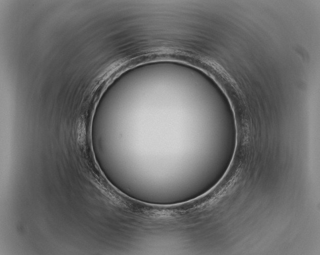 X0000113300969200909140942