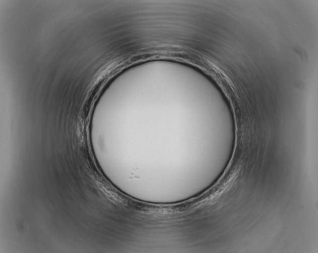 X0000113300970200909140942
