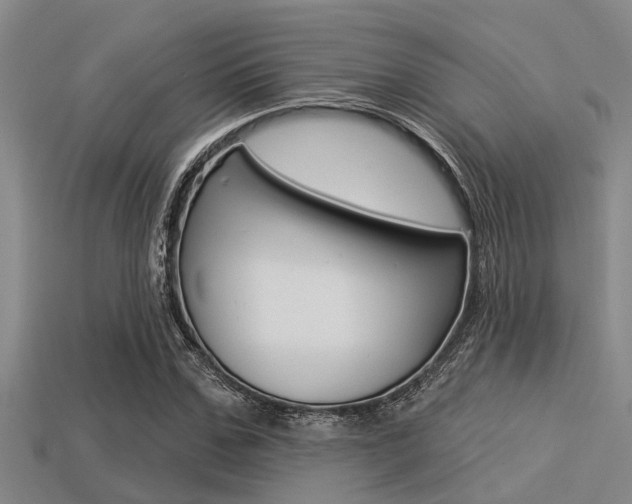 X0000113300971200909140942