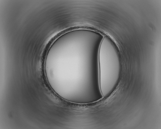 X0000113300975200909140942