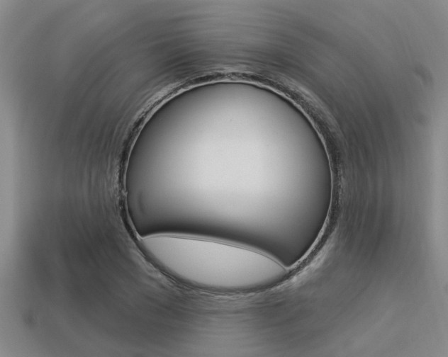 X0000113300977200909140942