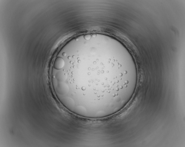 X0000113300978200909140942
