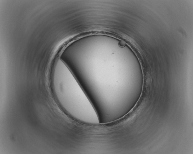 X0000113300979200909140942