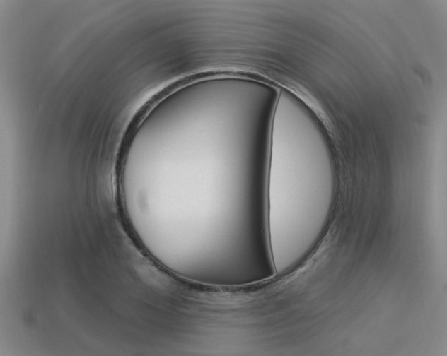 X0000113300980200909140942