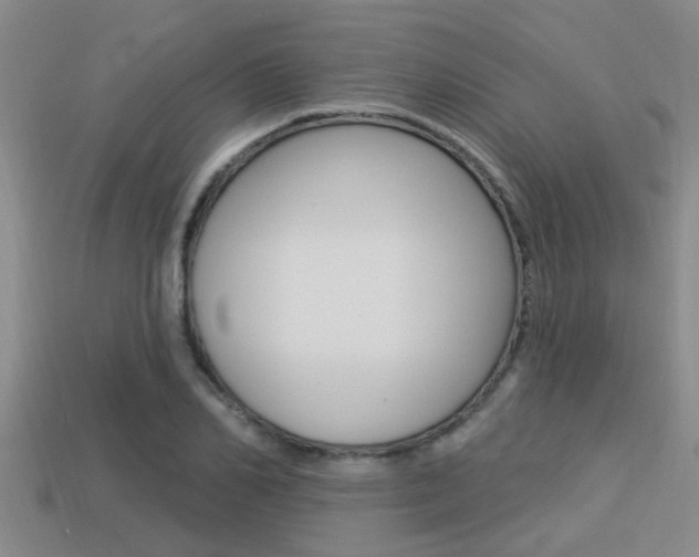 X0000113300982200909140942
