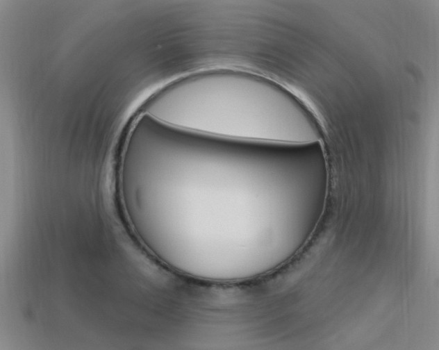 X0000113300983200909140942