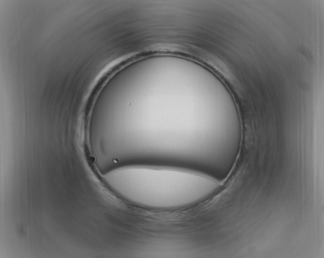 X0000113300984200909140942