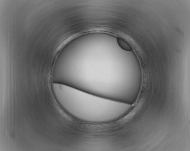 X0000113300985200909140942
