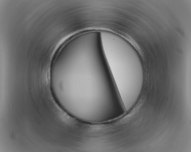 X0000113300988200909140942