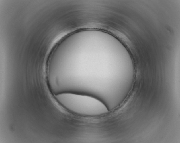 X0000113300990200909140942