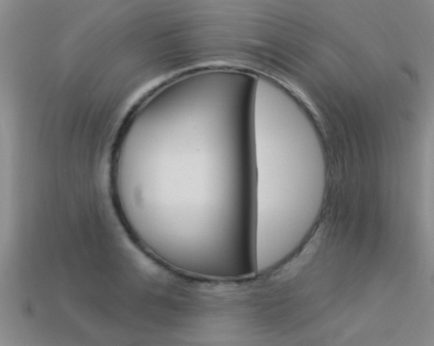 X0000113300991200909140942