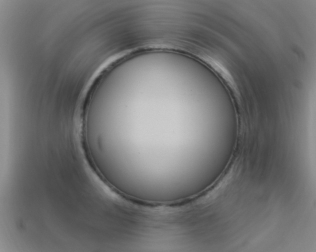X0000113300992200909140942