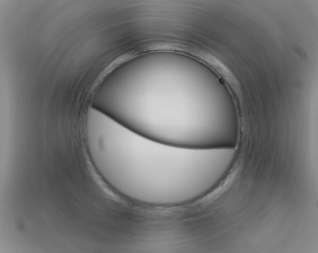 X0000113300993200909140942