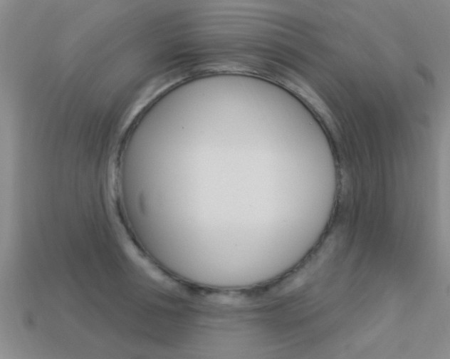 X0000113300994200909140942