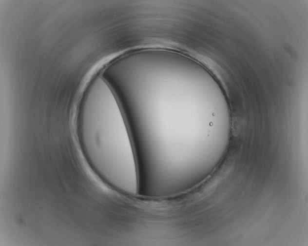 X0000113300995200909140942
