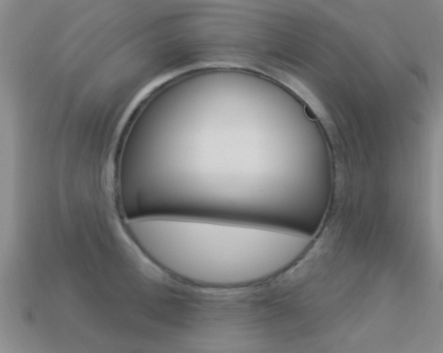 X0000113300996200909140942
