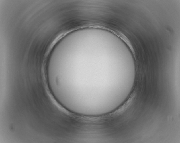X0000113300997200909140942