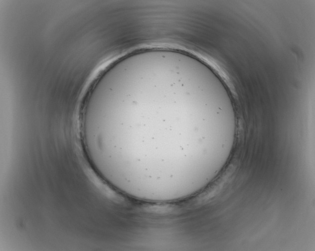X0000113300998200909140942