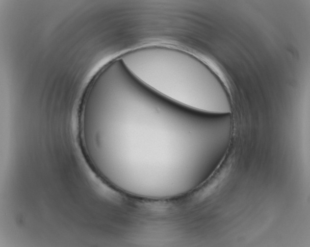 X0000113300999200909140942