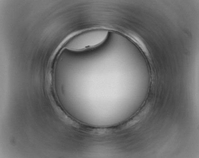 X0000113301000200909140942