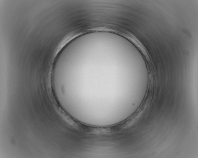 X0000113301002200909140942