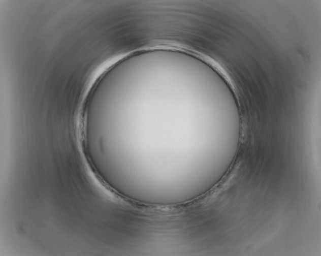 X0000113301003200909140941