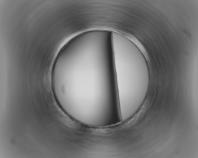 X0000113301004200909140941