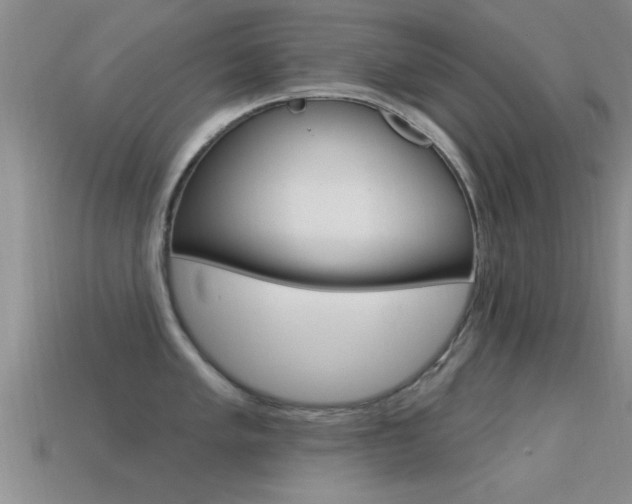 X0000113301005200909140941