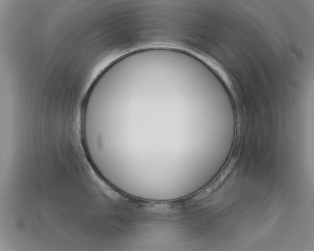 X0000113301006200909140941
