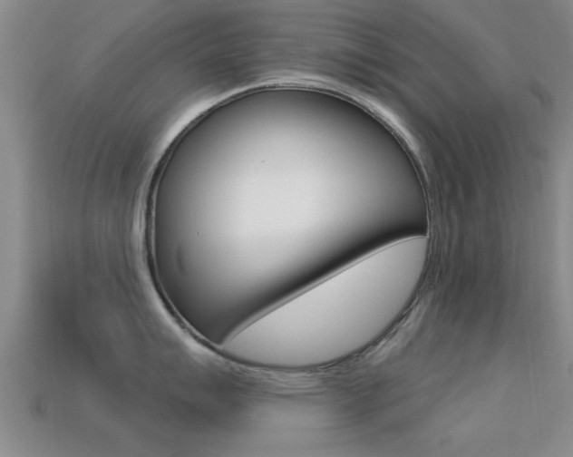 X0000113301007200909140941