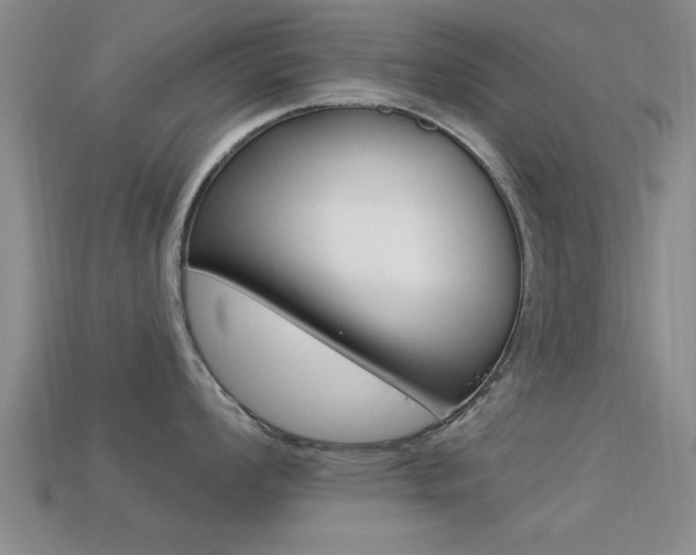 X0000113301008200909140941
