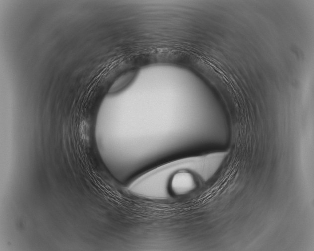 X0000113301010200909140941