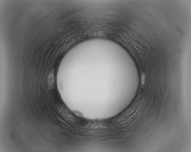 X0000113301011200909140941