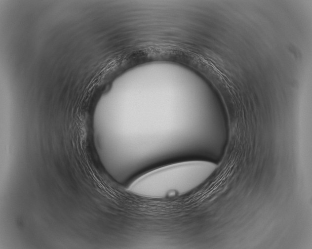 X0000113301012200909140941