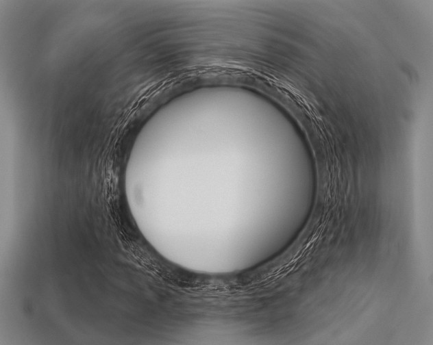 X0000113301013200909140941